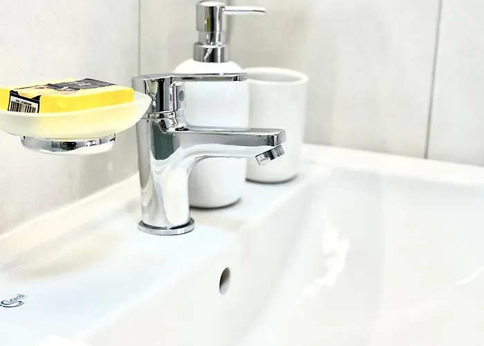 Forest View Timisoara